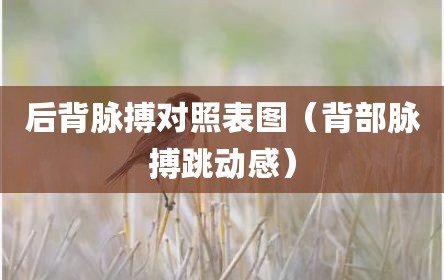 后背脉搏对照表图（背部脉搏跳动感）