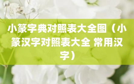 小篆字典对照表大全图（小篆汉字对照表大全 常用汉字）