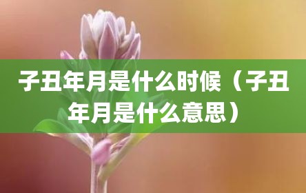 子丑年月是什么时候（子丑年月是什么意思）