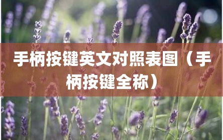 手柄按键英文对照表图（手柄按键全称）