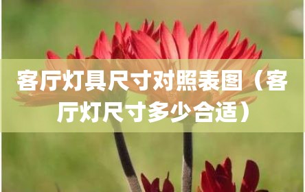 客厅灯具尺寸对照表图（客厅灯尺寸多少合适）