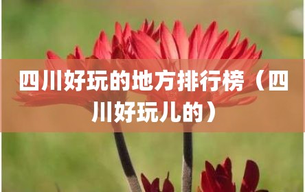 四川好玩的地方排行榜（四川好玩儿的）