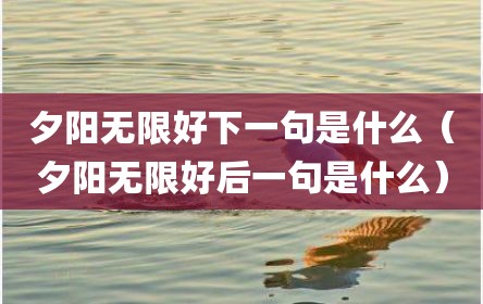 夕阳无限好下一句是什么（夕阳无限好后一句是什么）