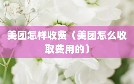 美团怎样收费（美团怎么收取费用的）