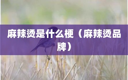 麻辣烫是什么梗（麻辣烫品牌）