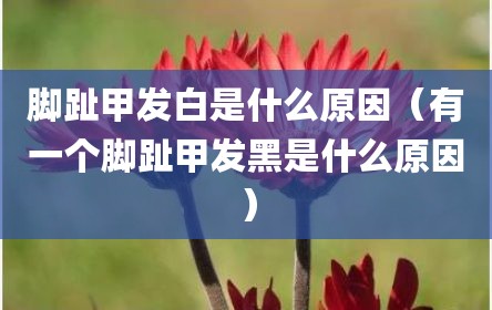 脚趾甲发白是什么原因（有一个脚趾甲发黑是什么原因）