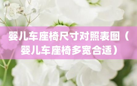 婴儿车座椅尺寸对照表图（婴儿车座椅多宽合适）