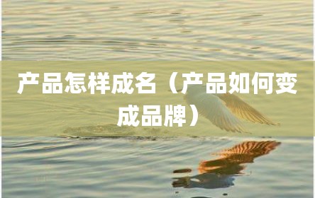 产品怎样成名（产品如何变成品牌）