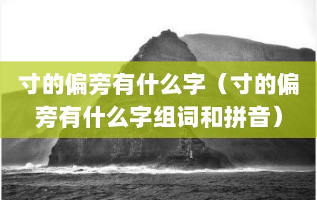 寸的偏旁有什么字（寸的偏旁有什么字组词和拼音）