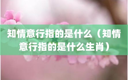 知情意行指的是什么（知情意行指的是什么生肖）