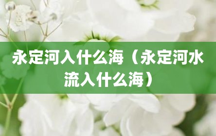 永定河入什么海（永定河水流入什么海）