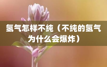 氢气怎样不纯（不纯的氢气为什么会爆炸）