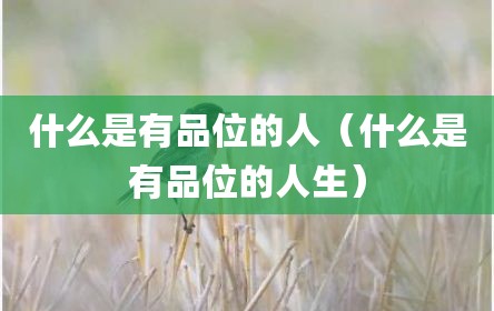 什么是有品位的人（什么是有品位的人生）
