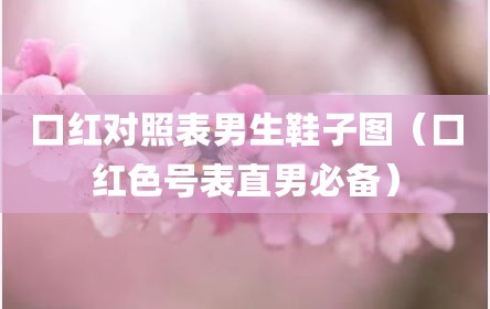 口红对照表男生鞋子图（口红色号表直男必备）