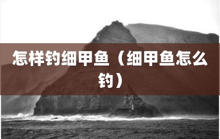 怎样钓细甲鱼（细甲鱼怎么钓）