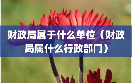 财政局属于什么单位（财政局属什么行政部门）