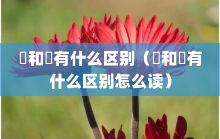 瞾和曌有什么区别（瞾和曌有什么区别怎么读）