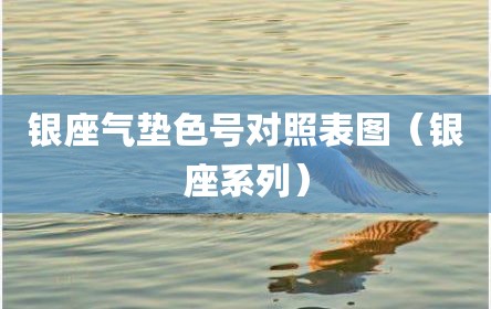 银座气垫色号对照表图（银座系列）