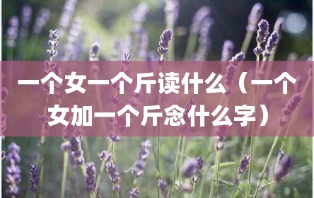 一个女一个斤读什么（一个女加一个斤念什么字）
