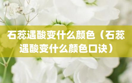 石蕊遇酸变什么颜色（石蕊遇酸变什么颜色口诀）
