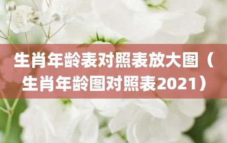 生肖年龄表对照表放大图（生肖年龄图对照表2021）