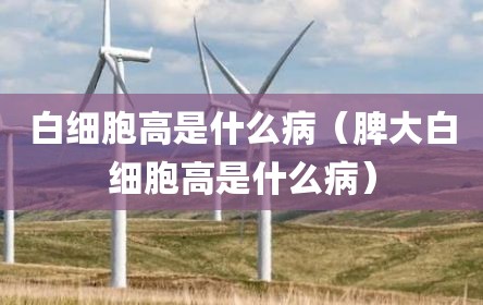 白细胞高是什么病（脾大白细胞高是什么病）