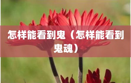 怎样能看到鬼（怎样能看到鬼魂）