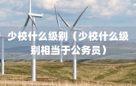 少校什么级别（少校什么级别相当于公务员）