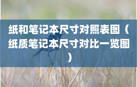 纸和笔记本尺寸对照表图（纸质笔记本尺寸对比一览图）