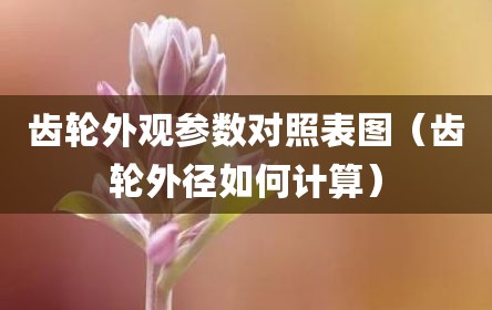 齿轮外观参数对照表图（齿轮外径如何计算）
