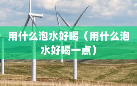 用什么泡水好喝（用什么泡水好喝一点）