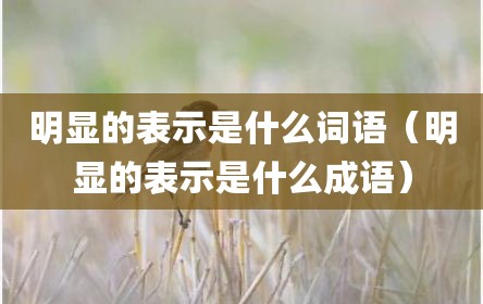 明显的表示是什么词语（明显的表示是什么成语）