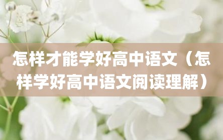 怎样才能学好高中语文（怎样学好高中语文阅读理解）