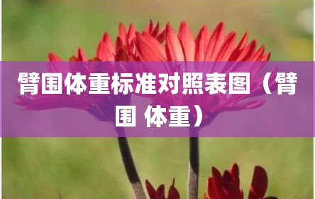 臂围体重标准对照表图（臂围 体重）