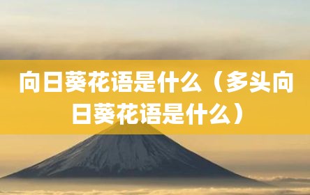 向日葵花语是什么（多头向日葵花语是什么）