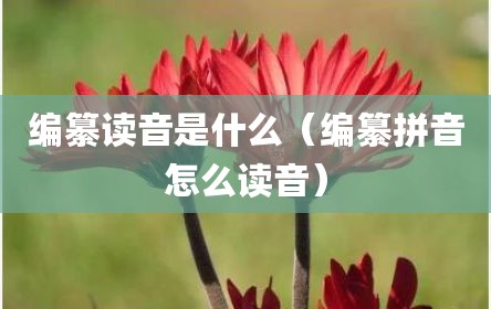 编纂读音是什么（编纂拼音怎么读音）