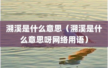 溯溪是什么意思（溯溪是什么意思呀网络用语）