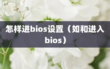 怎样进bios设置（如和进入bios）