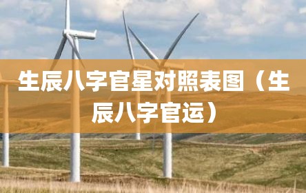 生辰八字官星对照表图（生辰八字官运）