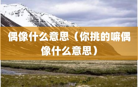 偶像什么意思（你挑的嘛偶像什么意思）