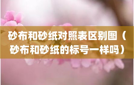 砂布和砂纸对照表区别图（砂布和砂纸的标号一样吗）