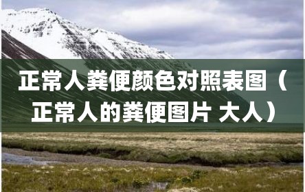 正常人粪便颜色对照表图（正常人的粪便图片 大人）