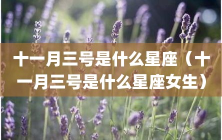 十一月三号是什么星座（十一月三号是什么星座女生）