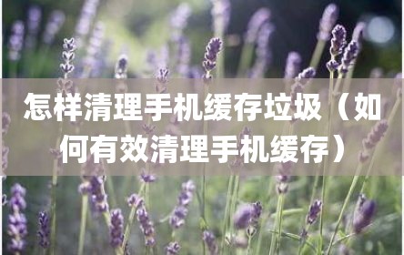 怎样清理手机缓存垃圾（如何有效清理手机缓存）