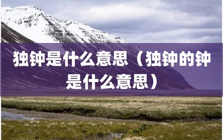 独钟是什么意思（独钟的钟是什么意思）