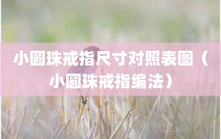 小圆珠戒指尺寸对照表图（小圆珠戒指编法）