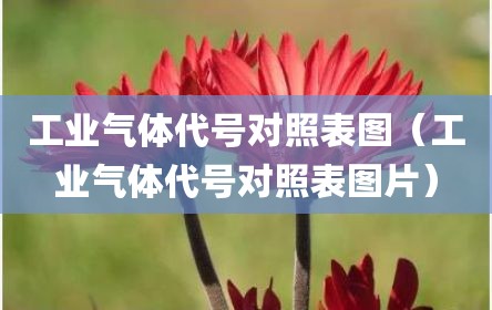 工业气体代号对照表图（工业气体代号对照表图片）