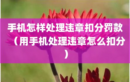 手机怎样处理违章扣分罚款（用手机处理违章怎么扣分）