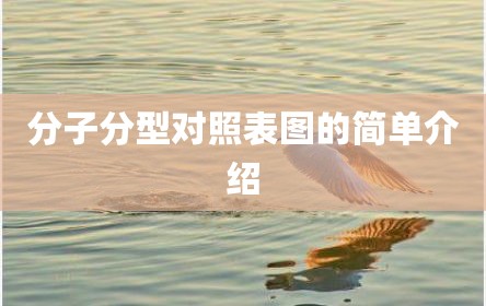 分子分型对照表图的简单介绍