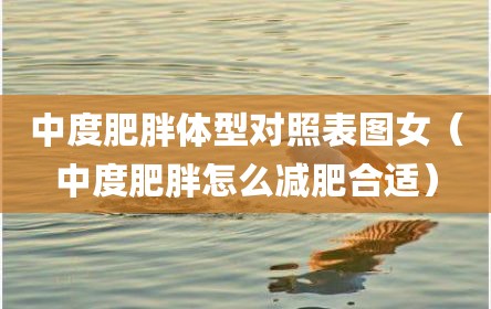 中度肥胖体型对照表图女（中度肥胖怎么减肥合适）